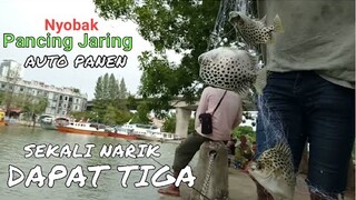 Sekali Narik Dapat Tiga || Pancing Jaring (Spring Bom Net)