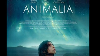 Animalia