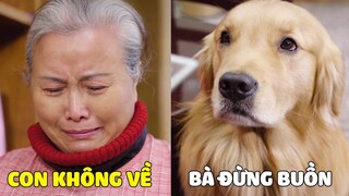 Lộ Hố | Bố Không Về Ăn Tết, LỘ HỐ vs BÀ Buồn Lắm 😥 Gâu Đần Official