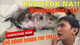 PUPUTOK NA!!