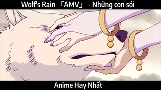 Wolf's Rain 「AMV」 - Những con sói | Hay Nhất