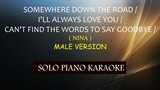 SOMEWHERE DOWN THE ROAD / I'LL ALWAYS LOVE YOU / CAN'T FIND THE WORDS  ( MALE VERSION ) ( NINA )