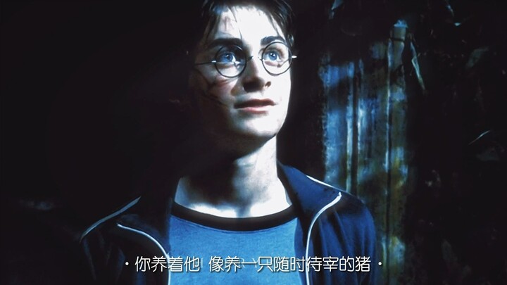 我的救世主 赴死时才十七岁啊