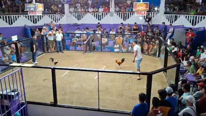 Duke Hulsey Grey X 5k Sweater of Mr. Gilbert Gozum | Meron Wins | 2 Hits Ulutan sa Dagupan City