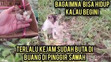 Astagfirullah Anak Kucing Buta Menangis Karena Di Buang Di Pinggir Sawah..!