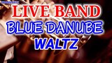 LIVE BAND || BLUE DANUBE WALTZ