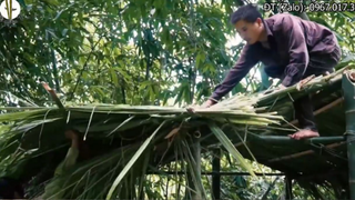 Dựng Lán - Làm Nỏ Đi Săn - Đào Hầm - Bẫy Thú Rừng _ Xem Trọn Bộ Sinh Tồn Hai Vợ