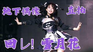 【杨淳】《回レ! 雪月花》失格NPC编舞 直拍