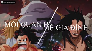 Scot Bjorklund nàng thơ - Review - Mối quan hệ gia đình trong One piece #anime #schooltime