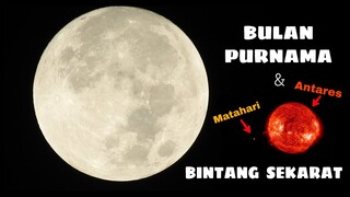 TELESCOPE ZOOM 1000X:  BULAN PURNAMA  &  BINTANG (VEGA, ARCTURUS, ANTARES)