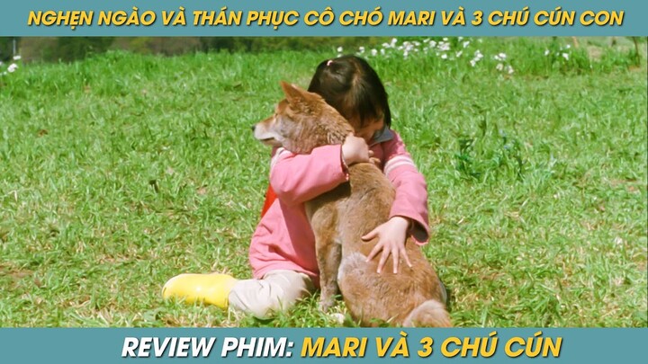 REVIEW PHIM ST | TÓM TẮT PHIM NGHẸN NGÀO VÀ THÁN PHỤC CÔ CHÓ MARI VÀ 3 CHÚ CÚN TÔI ĐÃ KHÓC KHI XEM