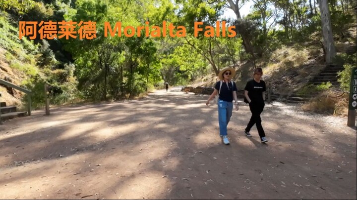 阿德莱德 Morialta Falls