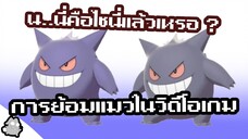 การย้อมแมวในวิดีโอเกม