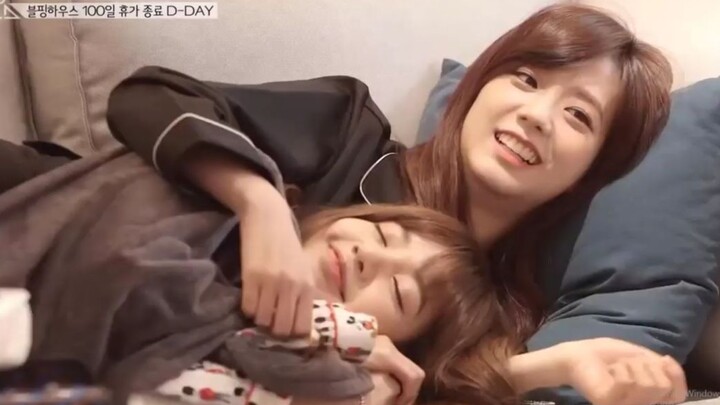 [KPOP]Jisoo and Lisa's sweet moment|BLACKPINK