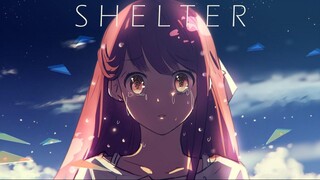 Shelter