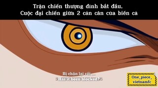 Trận chiến thượng đình,cuộc đại chiến giữa 2 cán cân của biển cả #onepiece