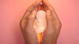 [Stop Motion Animation] The pain of abortion can only be known after experiencing it, watch carefull