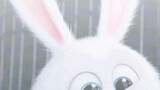 🐇🐇🐇🐇🐇🐇🐇🐇🐇🐇🐇🐇🐇🐇🐇🐇🐇🐇🐇🐇🐇🐇🐇🐇🐇🐇🐇🐇🐇🐇🐇🐇🐇🐇🐇🐇🐇🐇🐇🐇🐇🐇🐇🐇🐇🐇🐇🐇🐇🐇