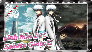 [Linh hồn bạc] Cái này đến từ Sakata Gintoki của Yorozuya / Núi Bameng