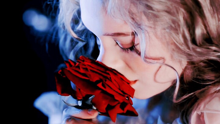 【欧美童话】“请给我一支玫瑰。”——《美女与野兽》