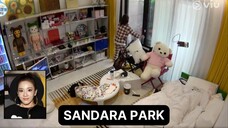 Houses of Korean Celebrities