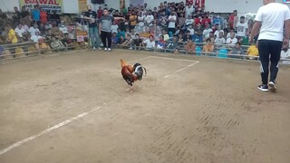 pangatlong panalo sa pasay cockpit arena