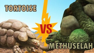 Giant Tortoise vs Titanus Methuselah | SPORE