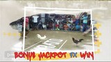 Sabung Ayam | Sabung Ayam Online |  Wala Meron | Sabung Ayam Taji Pisau