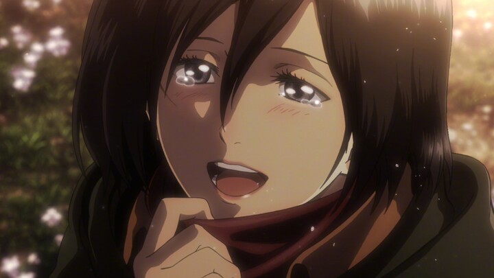 Selamat menikah untuk Mikasa