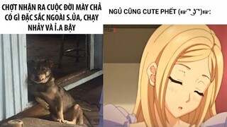 Ảnh chế MEME hài hước #191 ( có nhiều link hay)