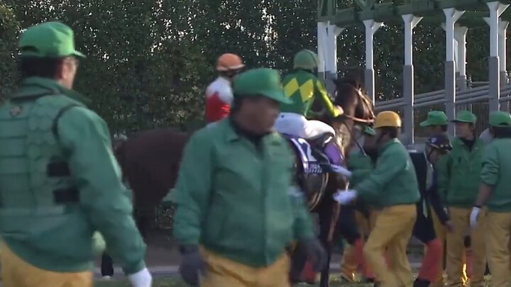 The curtain call of the northern black horse man