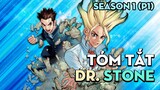 Tóm tắt phim "Dr.Stone" | Tiến Sĩ Đá | Season 1 ( P1 ) | AL Anime