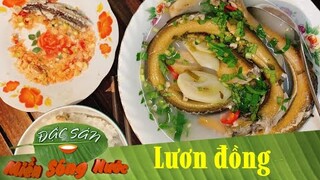 Những món ăn bổ dưỡng từ con lươn đồng | Đặc sản miền sông nước