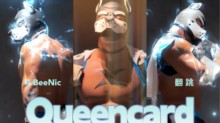 跳一下熊猫堂鲁鲁版的Queencard