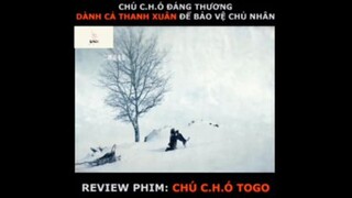 Tóm tắt phim: Chú chó Togo p3