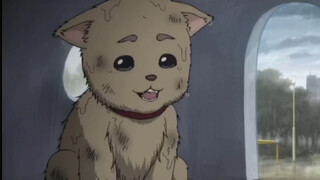 Adegan Gintama yang paling menguras air mata: Dingchun dan anak anjing