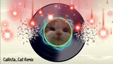gatal gatal remix || callista cat