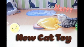 New Toy for My Cat | Cat Vlog #5