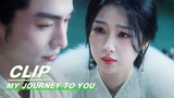 There is no Need to Cure the Poison | My Journey to You EP16 | 云之羽 | iQIYI