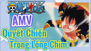 [Đảo Hải Tặc] AMV | Quyết Chiến Trong Lồng Chim!