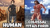 Attack On Titan Characters Bilang isang Colossal Titan | AOT Final Season