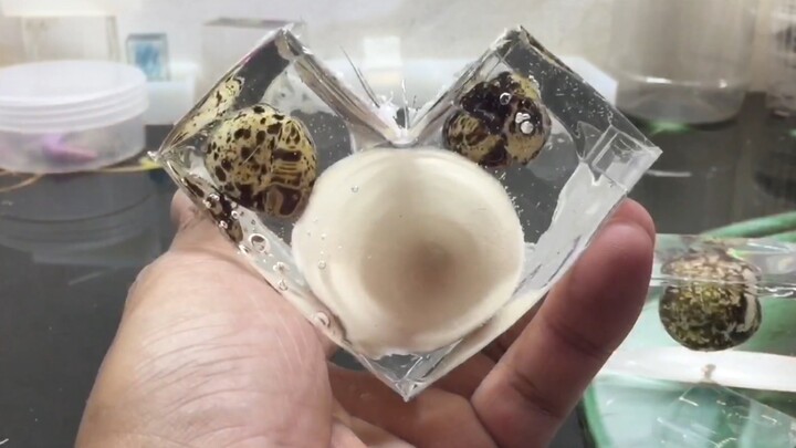 [DIY] Merebus telur dengan Resin, bisa matangkah? Ayo tonton bersama