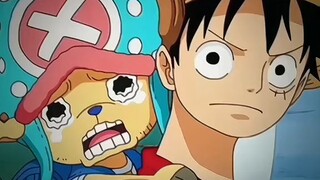 chopper and Luffy duet song