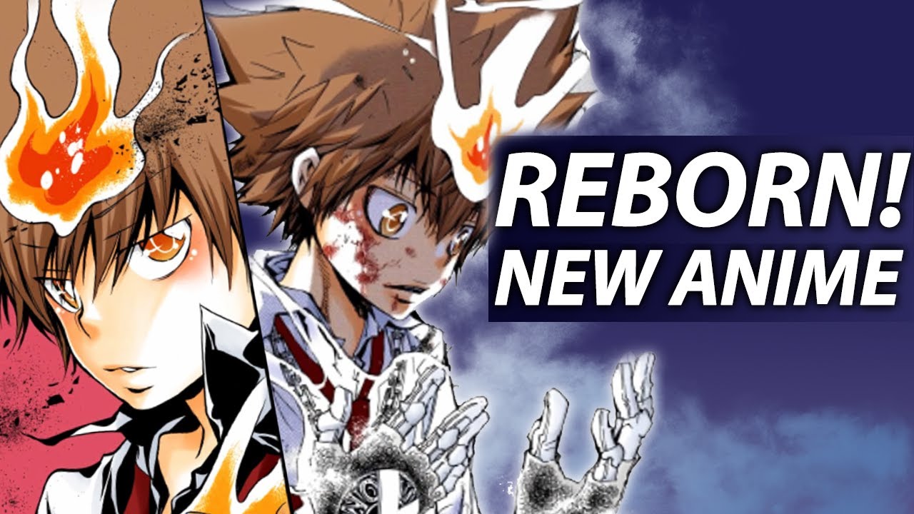 Anime/Manga Review: Katekyo Hitman Reborn