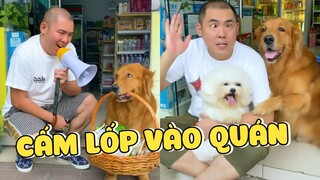 Lốp & Papa | Lốp Đi Mua Hàng Và Cái Kết Cho Ông Chủ Dốt Toán | Yêu Lu