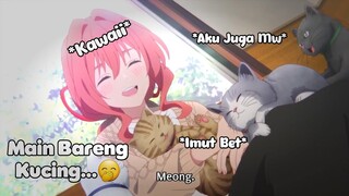 Ayank Sedang Bermain Ama Kucing...😋 || JJ ANIME 🎟