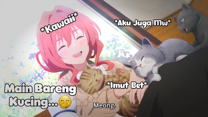 Ayank Sedang Bermain Ama Kucing...😋 || JJ ANIME 🎟