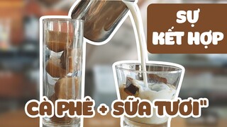 Home Drinks | Hướng Dẫn Chế Biến Các Loại Đồ Uống Từ Cà Phê Cùng Sữa Tươi