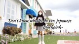 [LALAAPYOO] DANCE COVER BLACKPINK ver. JAPANESE