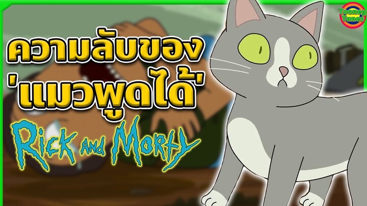 เจาะลึกความลับของ Talking Cat แมวพูดได้สุดสยองแบบละเอียด | Tooney Tunes